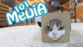 Подборка приколов с животными от 101 media
