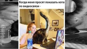 Короткие приколы и мемы с озвучкой на 29 января 2022