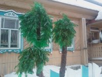 САЛДИНСКИЕ УМЕЛЬЦЫ