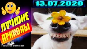 ПОДБОРКА Лучших Приколов / COUB BEST 2020 / Приколы из ИНСТАГРАМА 2020 / КУБ / CUBE / КОУБ Июль 2020