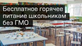 Горячее питание школьникам без ГМО к 2023 году