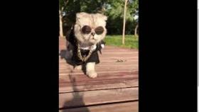 Взаимная подписка