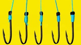 TOP 5 Knots You Should Know: Beginner&#039;s Guide to Fishing!