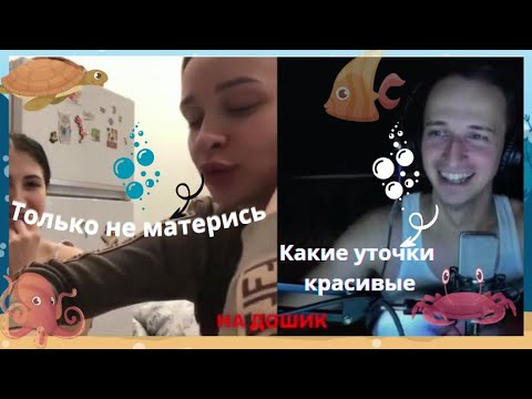 Открыть в полный размер
