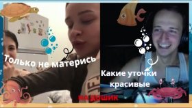 Встретил красивых уточек и спел им песни.
