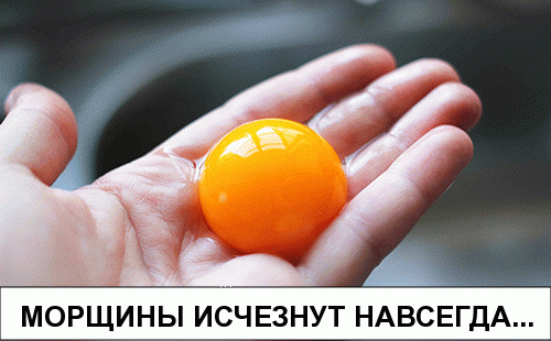 Открыть в полный размер