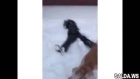 Лучшие приколы 2017 январь