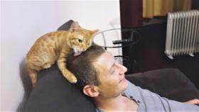 Если кошка делает это - значит она вас любит