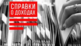 Не все органы местного самоуправления городского округа информируют население о доходах чиновников