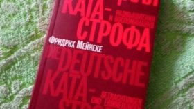 Немецкая катастрофа. Как работает нацизм