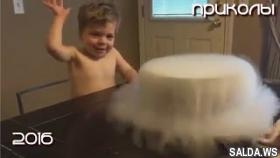 Три минуты хорошего настроения (Best Coub)!