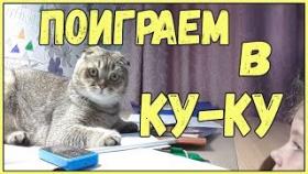 Приколы про школьников и котов 2017 Смешные Коты и дети