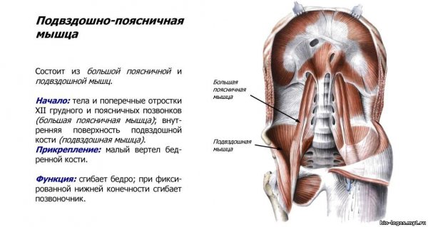 Открыть в полный размер