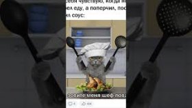 Мемы с котиками для всех  на 26 февраля 2023