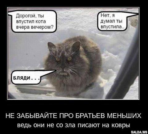 Открыть в полный размер