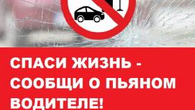 Профилактическое мероприятие «Безопасная дорога»