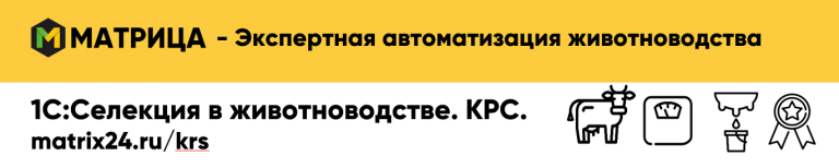 Открыть в полный размер