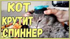 СМЕШНЫЕ КОТЫ И КОШКИ 2017 ПРИКОЛЫ С КОТАМИ И КОШКАМИ кот крутит спиннер хрюши против собак реакция кота на спиннер