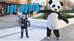 Смешные и милые животные 3 минуты позитива