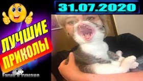 ПОДБОРКА Лучших Приколов / COUB BEST 2020 / Приколы из ИНСТАГРАМА 2020 / КУБ / CUBE / КОУБ Июль 2020