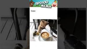 Мемы с котиками на 5 декабря 2022