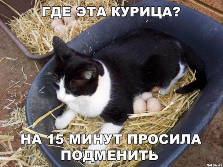 Открыть в полный размер