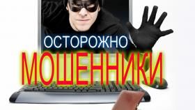 За март 17 салдинцев стали жертвами мошенников. Они «подарили» злоумышленникам 988 тысяч рублей.
