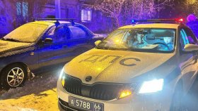 В Нижнем Тагиле автоинспекторы задержали водителя без прав после попытки скрыться