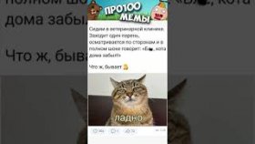 Короткие мемы с озвучкой не для всех на 26 февраля