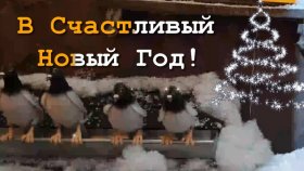 Вот и скоро Новый Год.. Кому билетики в Счастливый Новый год?!