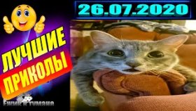ПОДБОРКА Лучших Приколов / COUB BEST 2020