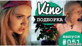 Подборка лучших вайнов от: Гамаюн Мария | М&amp;Ж вайны #051