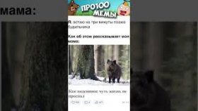 Мемы с озвучкой на 5 декабря