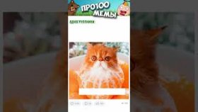 Короткие приколы и мемы с котами на новый год.
