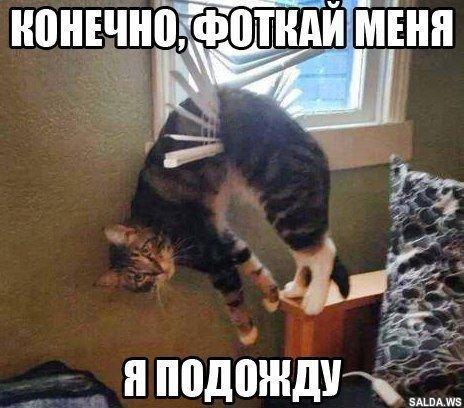 Открыть в полный размер
