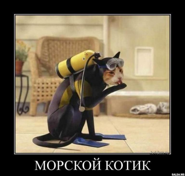 Открыть в полный размер