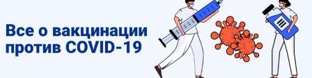 Открыть в полный размер
