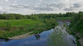 Поток жизни. Эстетика природы