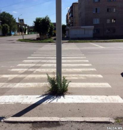 Открыть в полный размер