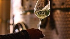 Мастерство винодела: почему вино — это искусство