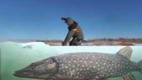 ЭТО ПРОСТО ПИСЕЦ! Рыбалка на жерлицы с подводными камерами