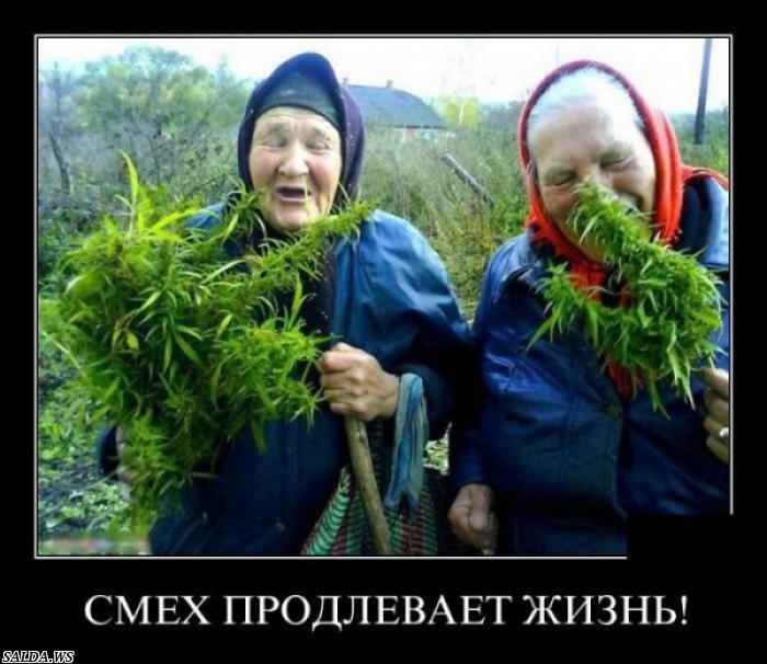 Открыть в полный размер