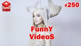 Подборка лучших видео приколов YOUTUBE #250