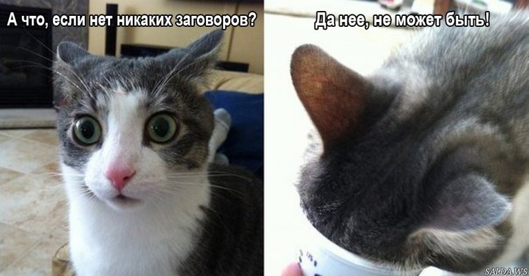 Открыть в полный размер