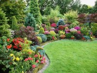 Фото пользователя biolocusplant