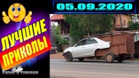Ёжик в Тумане ПРИКОЛЫ из Инстаграма 2020 / COUB BEST 2020 / КУБ/ CUBE / КОУБ СЕНТЯБРЬ 2020