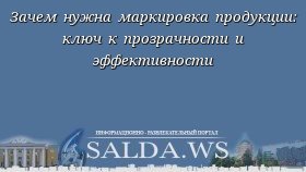 Зачем нужна маркировка продукции: ключ к прозрачности и эффективности