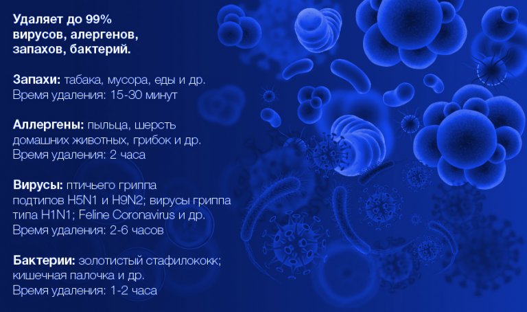 Открыть в полный размер
