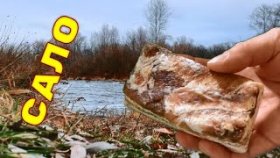 ЭТА РЫБА ЛЮБИТ САЛО! Реакция рыбы. Подводное видео