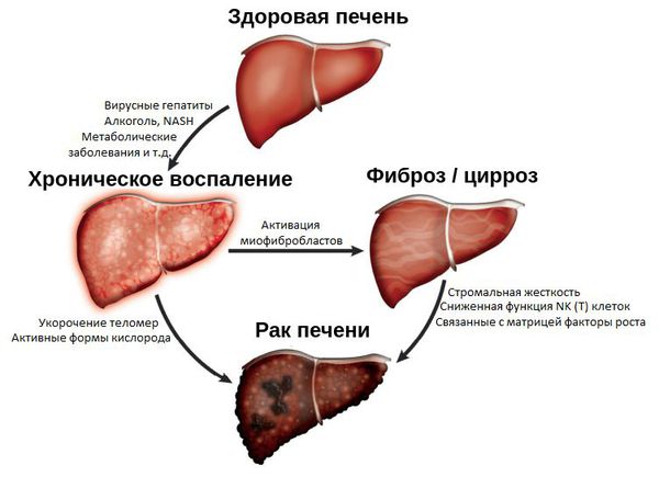 Открыть в полный размер